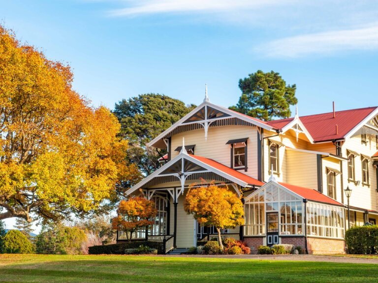 Caccia Birch House