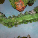 Thumbnail of http://Mangahuia%20Wetlands,%20Rangiwahia%20Manawatū