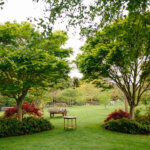 Thumbnail of http://Springvale%20Gardens,%20Manawatū