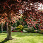 Thumbnail of http://Springvale%20Gardens,%20Manawatū