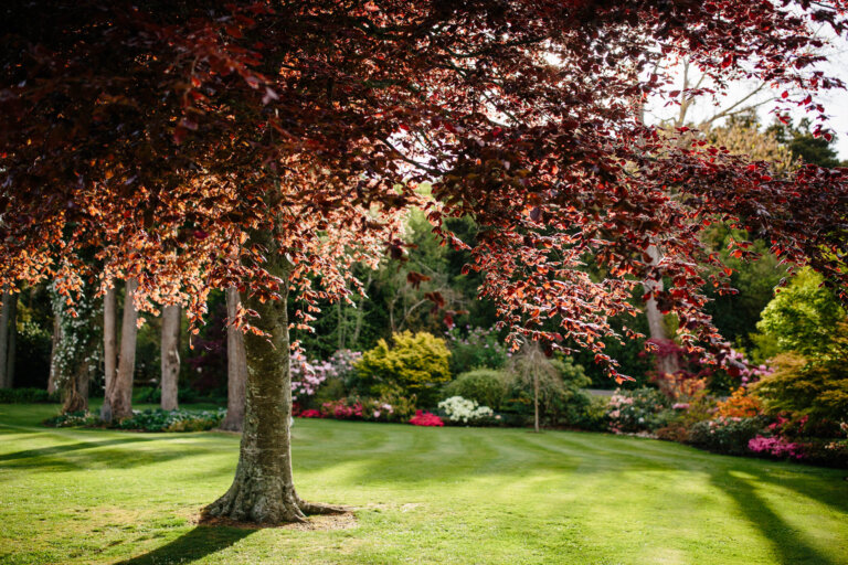 Springvale Gardens and Bed and Breakfast