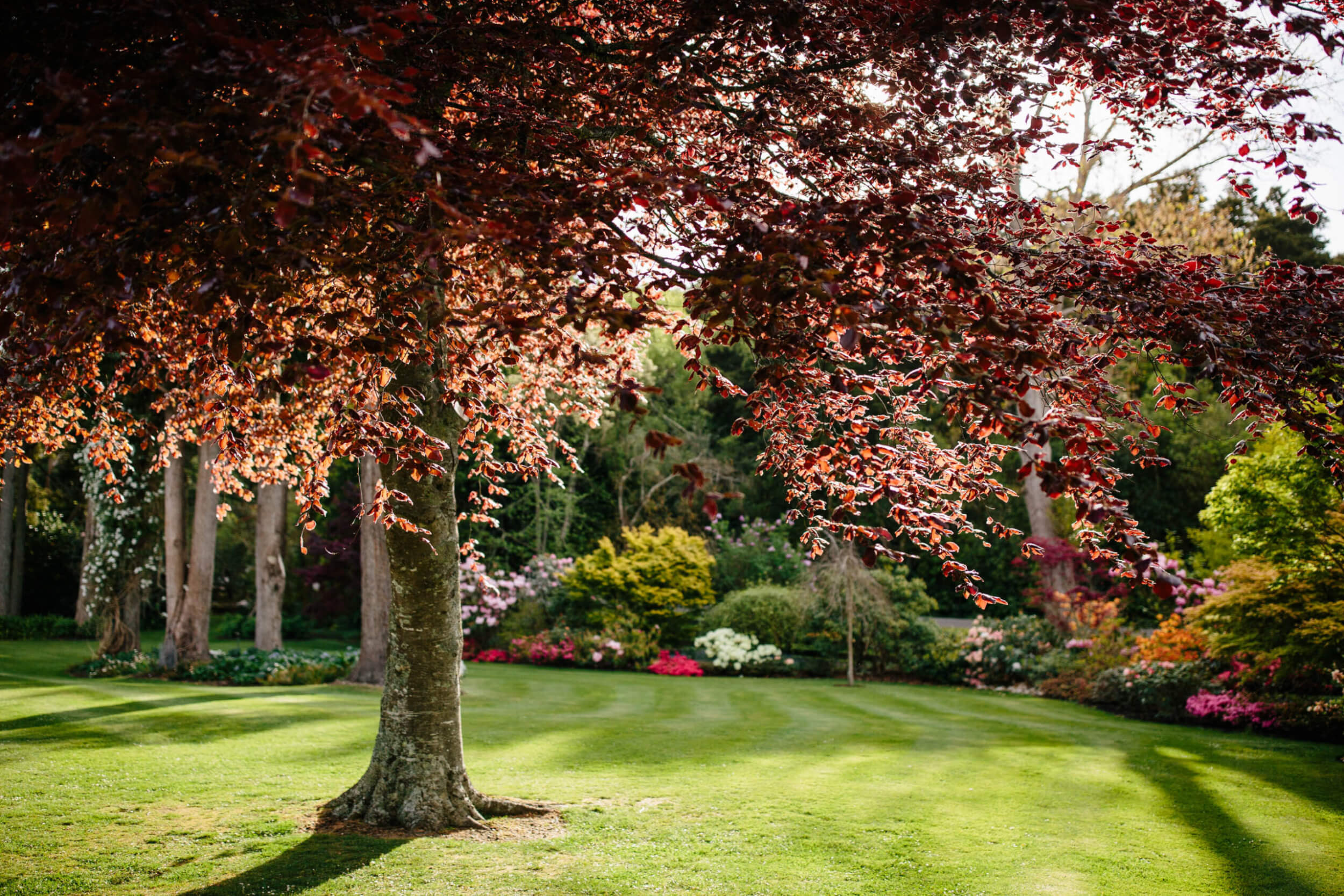 Springvale Gardens, Manawatū