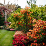 Thumbnail of http://Springvale%20Gardens,%20Manawatū