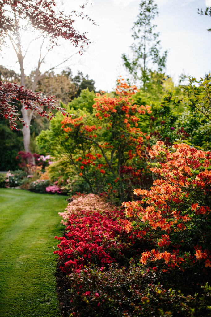 Springvale Gardens, Manawatū