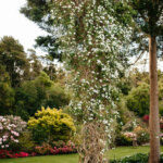 Thumbnail of http://Springvale%20Gardens,%20Manawatū
