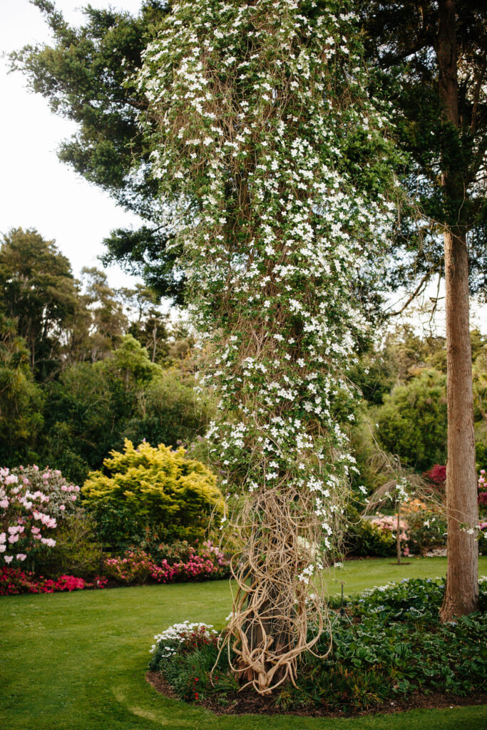 Springvale Gardens, Manawatū