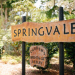 Thumbnail of http://Springvale%20Gardens,%20Manawatū
