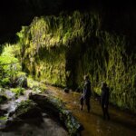 Thumbnail of http://Limestone%20Creek%20Reserve%20Glow%20Worm%20Caves%20ManawatuNZ%20large%20(1)