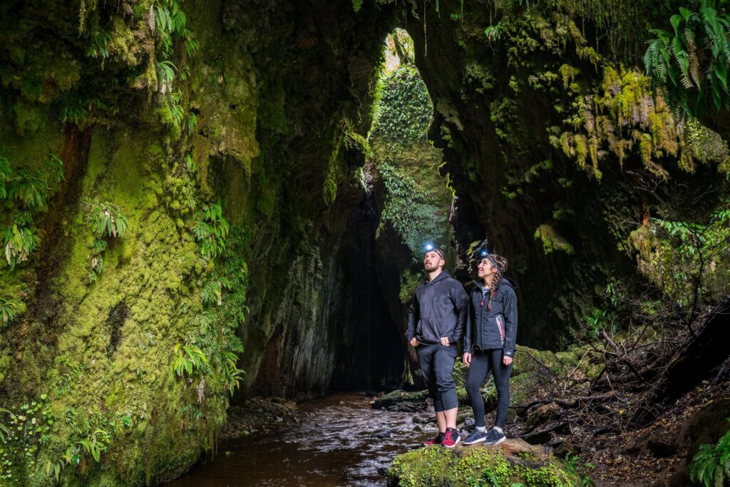Limestone Creek Reserve Glow Worm Caves ManawatuNZ large