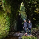 Thumbnail of http://Limestone%20Creek%20Reserve%20Glow%20Worm%20Caves%20ManawatuNZ%20large
