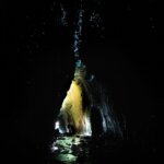 Thumbnail of http://P1199108%20large