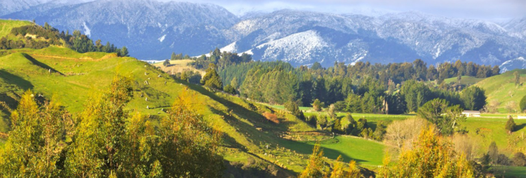 Rangiwahia Scenic Reserve