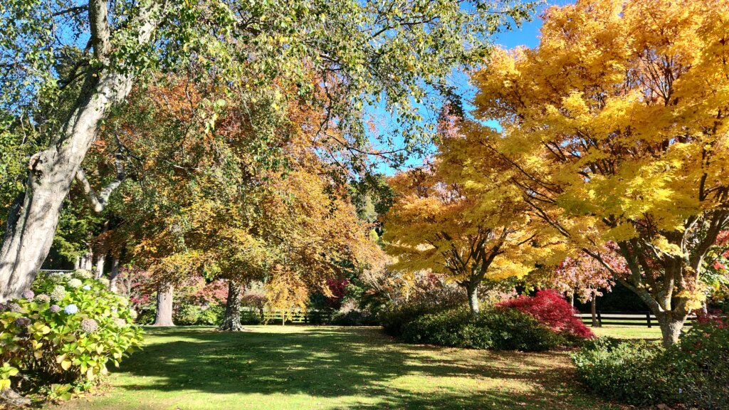 Springvale Gardens, Manawatū