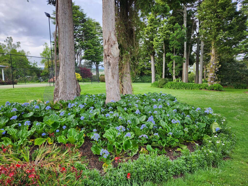 Springvale Gardens, Manawatū