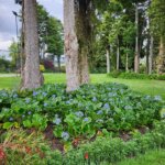 Thumbnail of http://Springvale%20Gardens,%20Manawatū