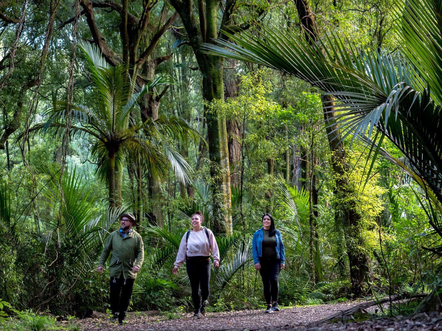Te Apiti, walkway, manawatu