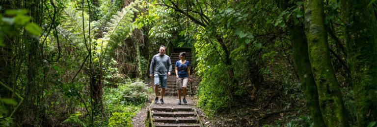 Manawatu | Bledisloepark | Walks&Hikes