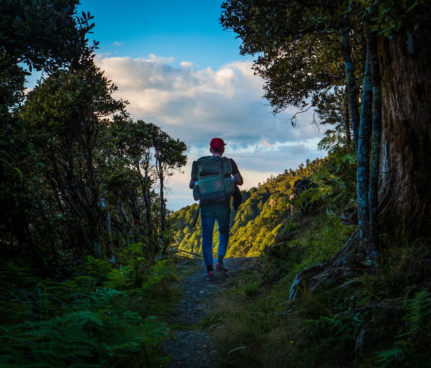 Manawatu | Rangiawhia | Hike