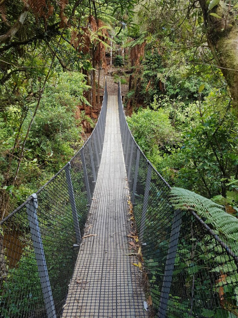 Manawatu | Sledge Track | Swing Bridge