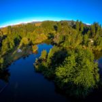 Thumbnail of http://Mangahuia%20Wetlands