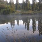 Thumbnail of http://luttrells%20white%20pine%20garden,%20Manawatū
