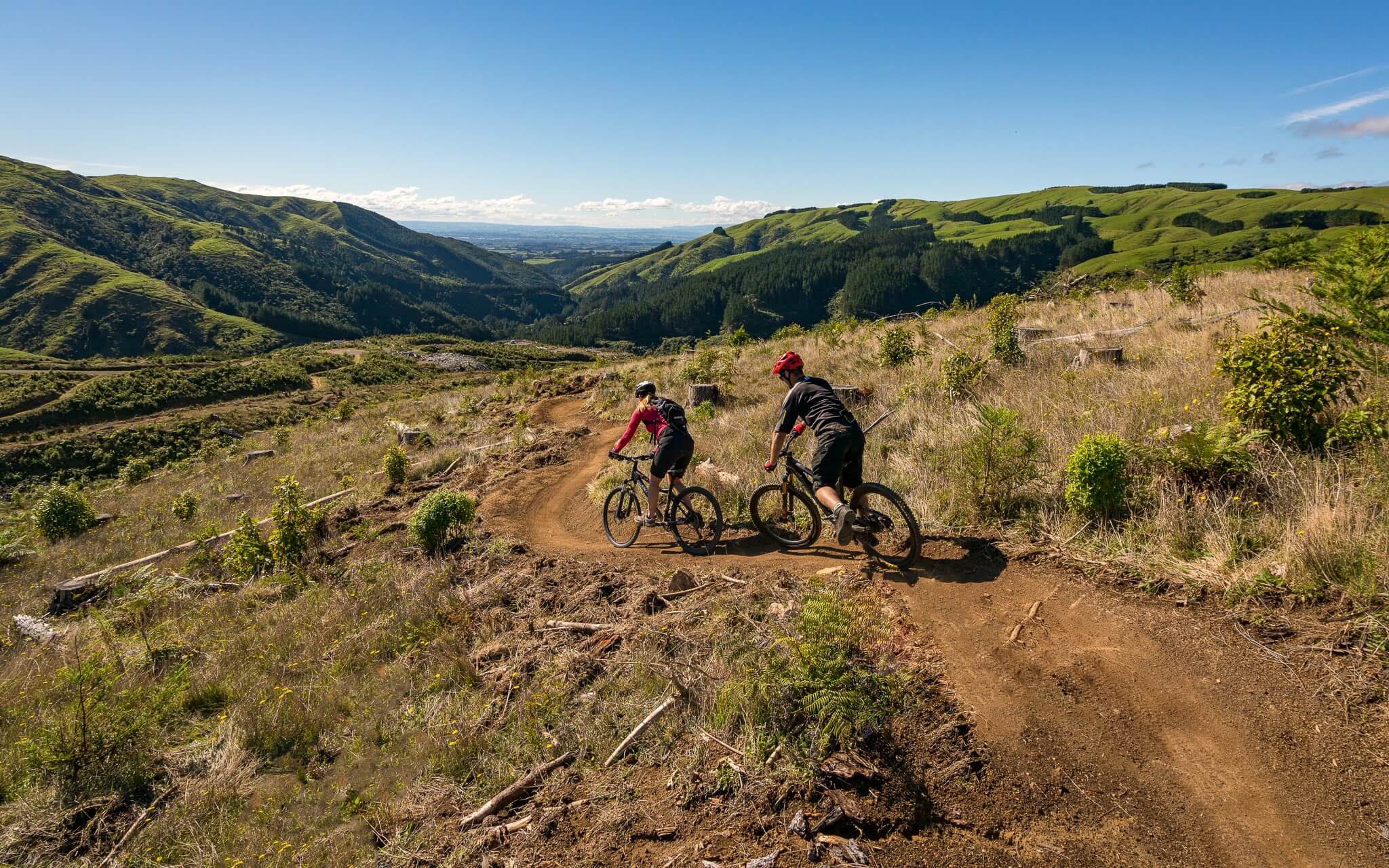 Arapuke 2025 mtb park