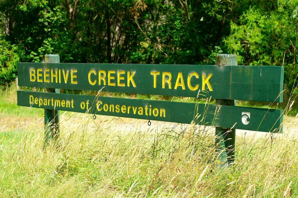 Beehive Creek Walk - Manawatū & Palmerston North