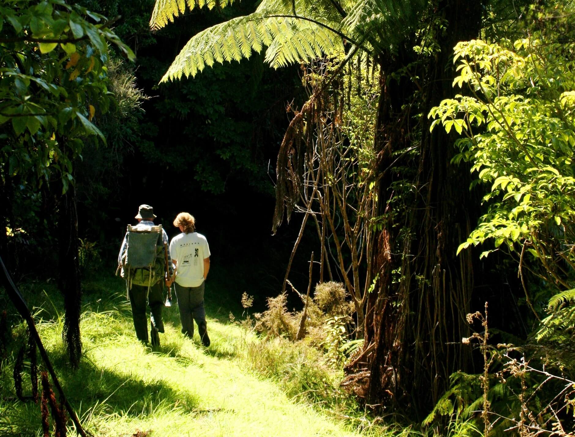 Branch Road Walkway - Manawatū & Palmerston North