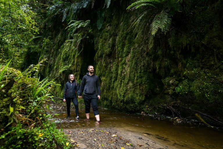 Couple walking in stream surrounded by moss at Limestone Creek glow wom caves ManawatuNZ.co .nz 