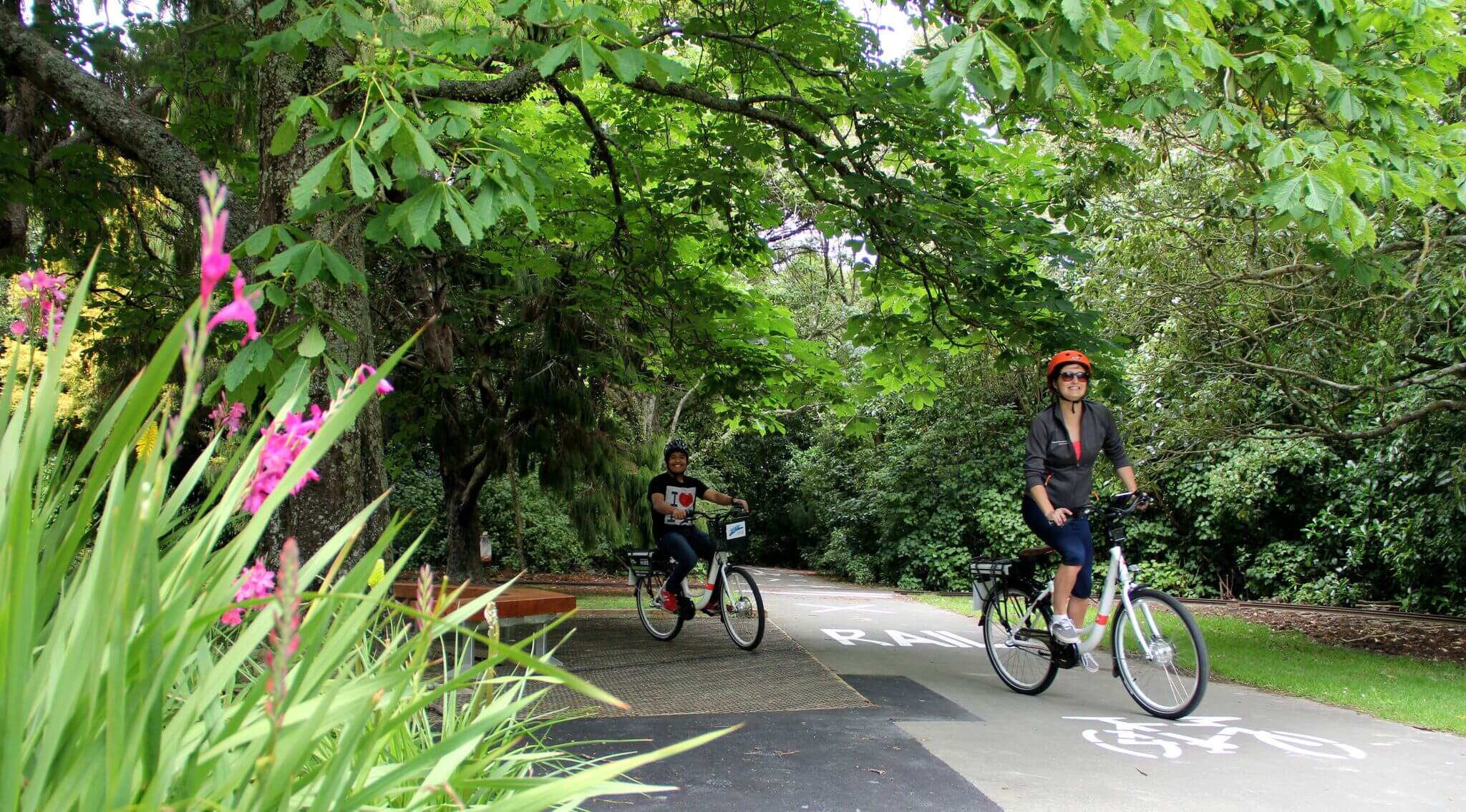 Electric Bikes Palmerston North Manawatū & Palmerston North