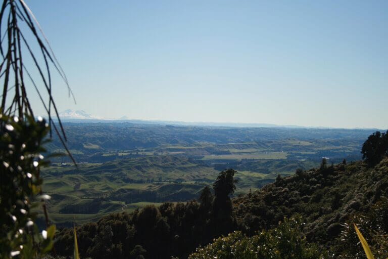 No. 1 Line view from lookout ManawatuNZ.co .nz 
