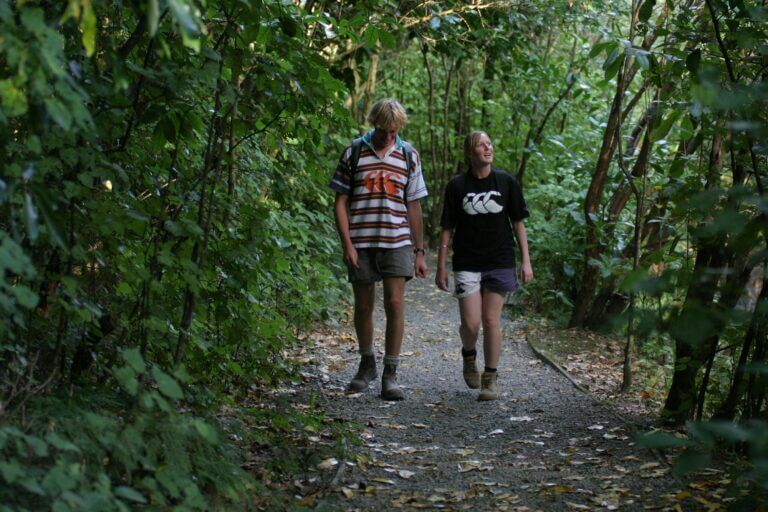 Pettifar and Gilchrist Loop Track Walks ManawatuNZ.co .nz 