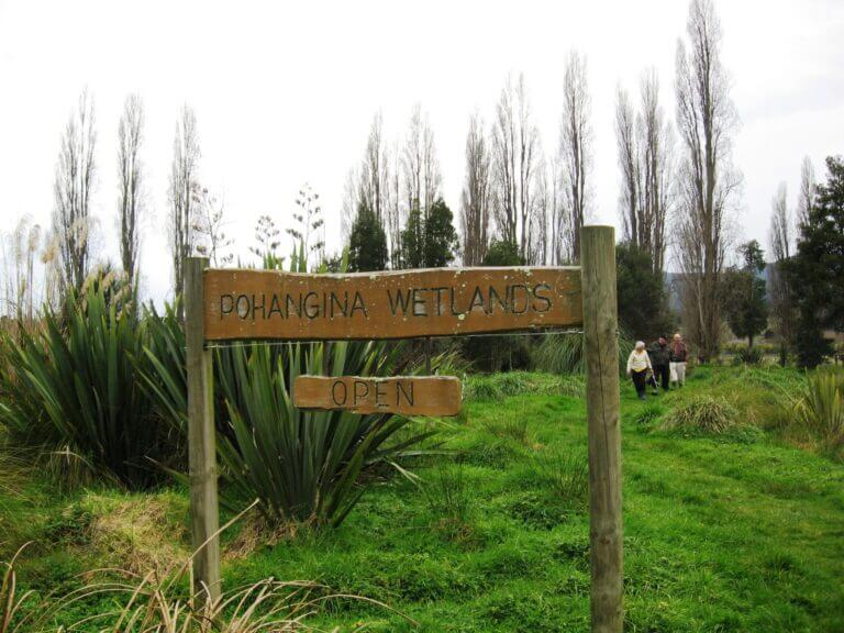 Pohangina Wetlands