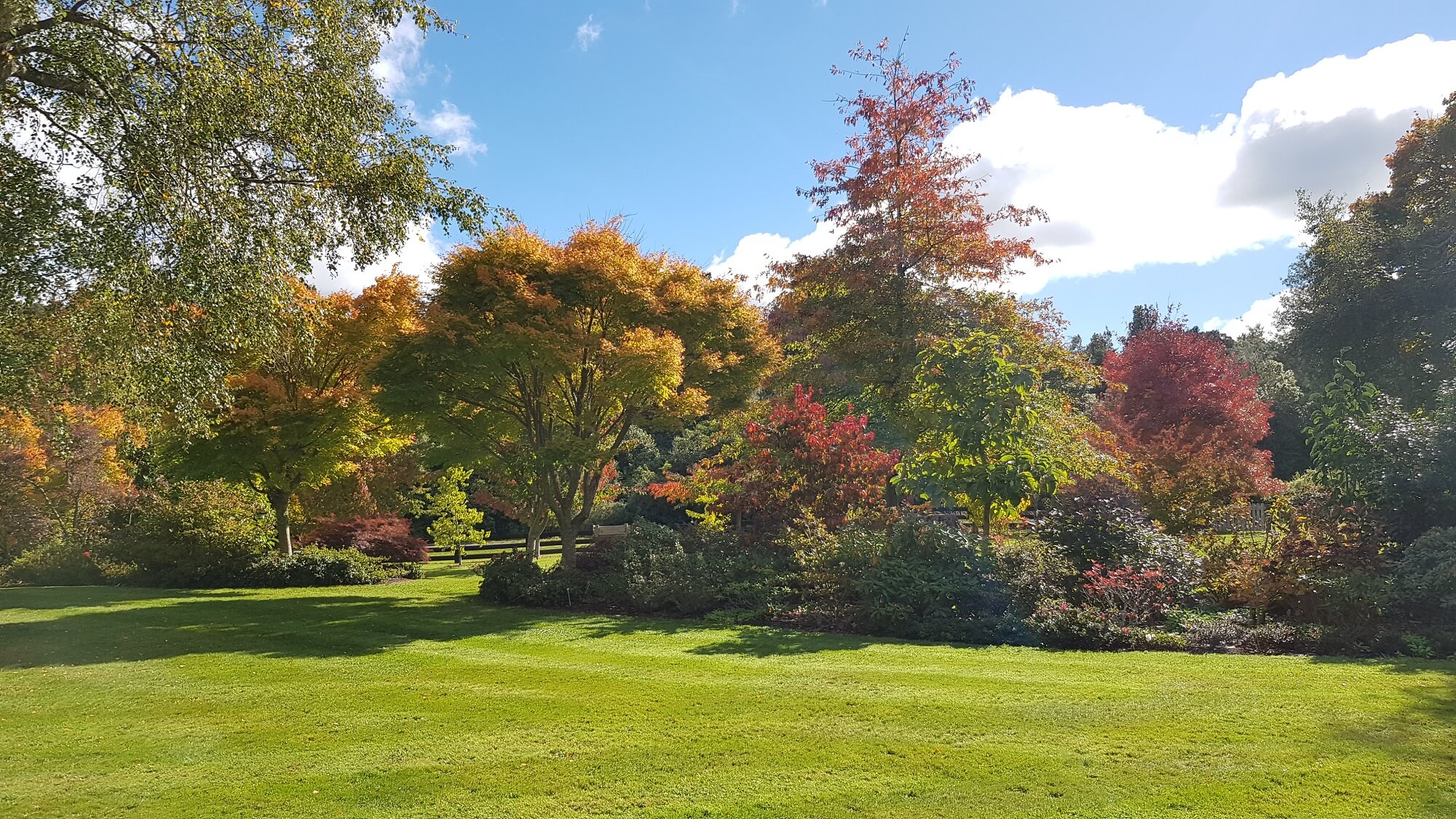 Springvale Gardens and Bed and Breakfast Manawatū & Palmerston North