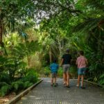 Thumbnail of http://Victoria%20Esplanade%20ManawatuNZ%20large%201