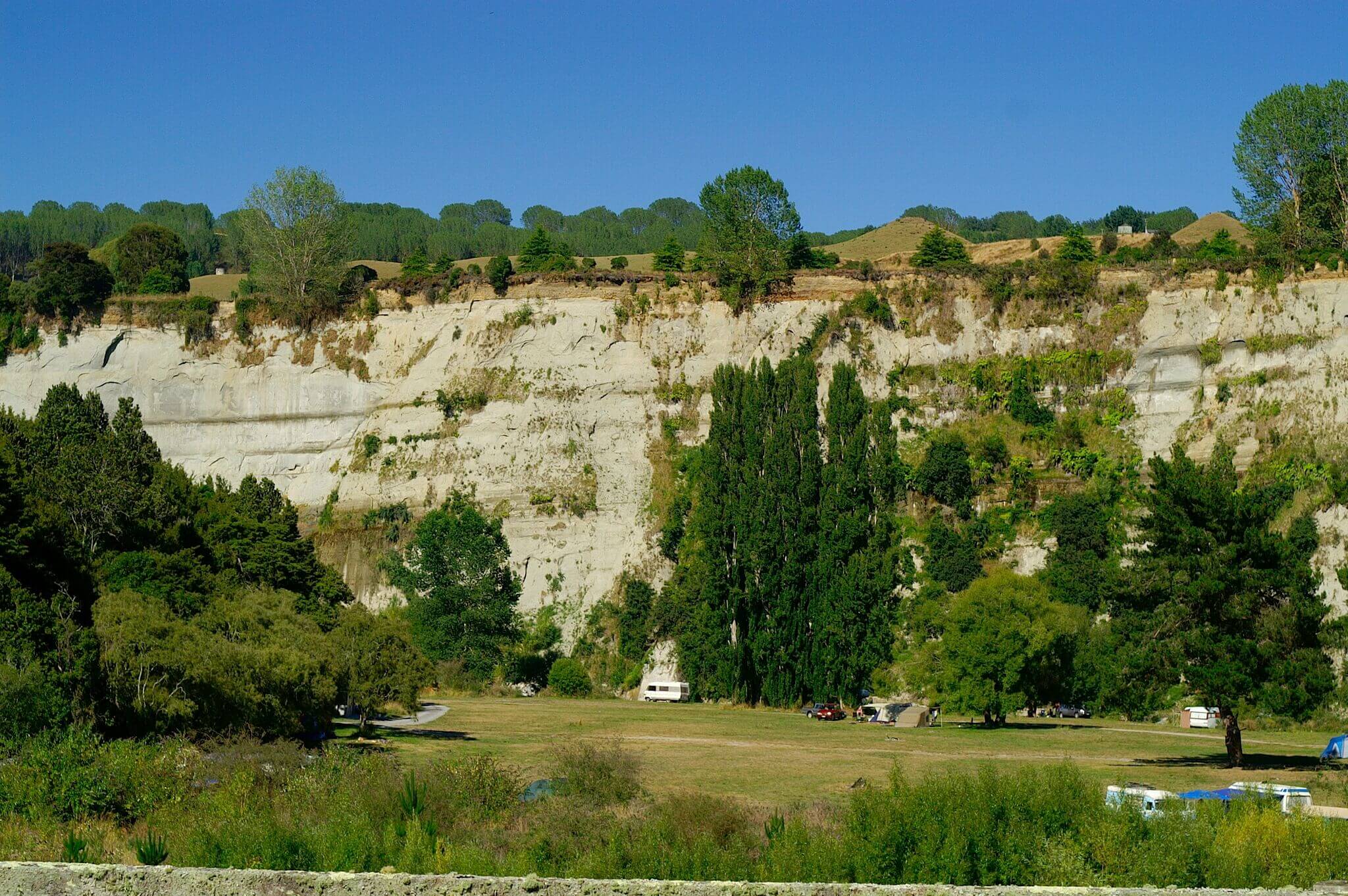 Vinegar Hill Putai Ngahere Manawatū & Palmerston North