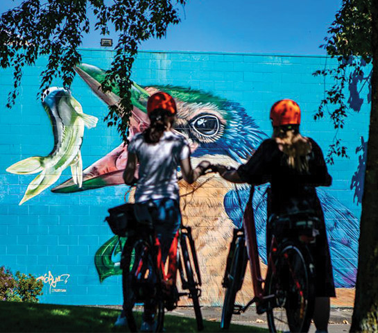Palmeston North street art tour on bikes
