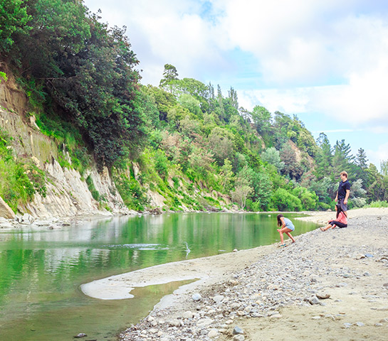Pohangina Valley river Manawatu NZ