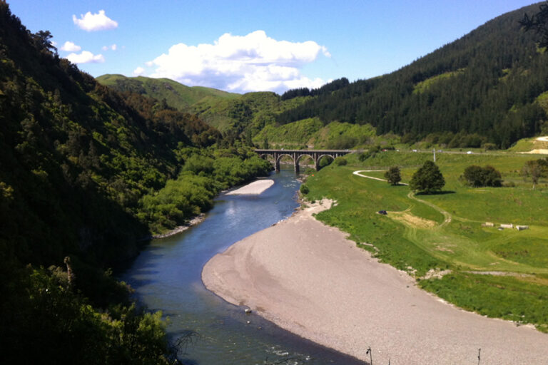 Woodville Ferry Reserve Manawatu