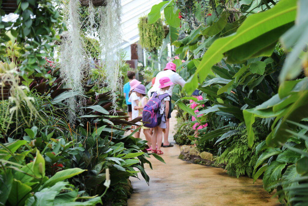 Peter Black Conservatory, Victoria Esplanade, Palmerston north