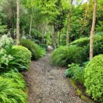 Thumbnail of http://Hlomo%20Hlomo%20Garden%20Palmerston%20North%20Manawatū