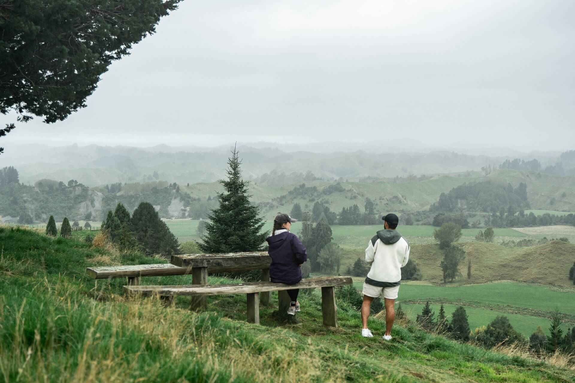 Ian McKean Pinetum Manawatū