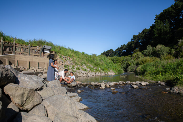 Urban Eels - Eel Viewing PLatform, Turitea Stream, He Ara Kotahi, Palmerston North, manawatū