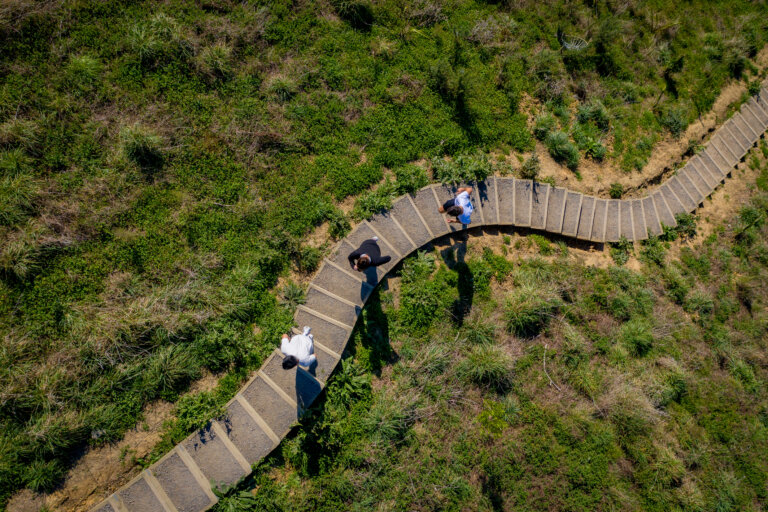 Te Arapaki a Tane - the stairs of Tane, Palmerston North, Manawatū