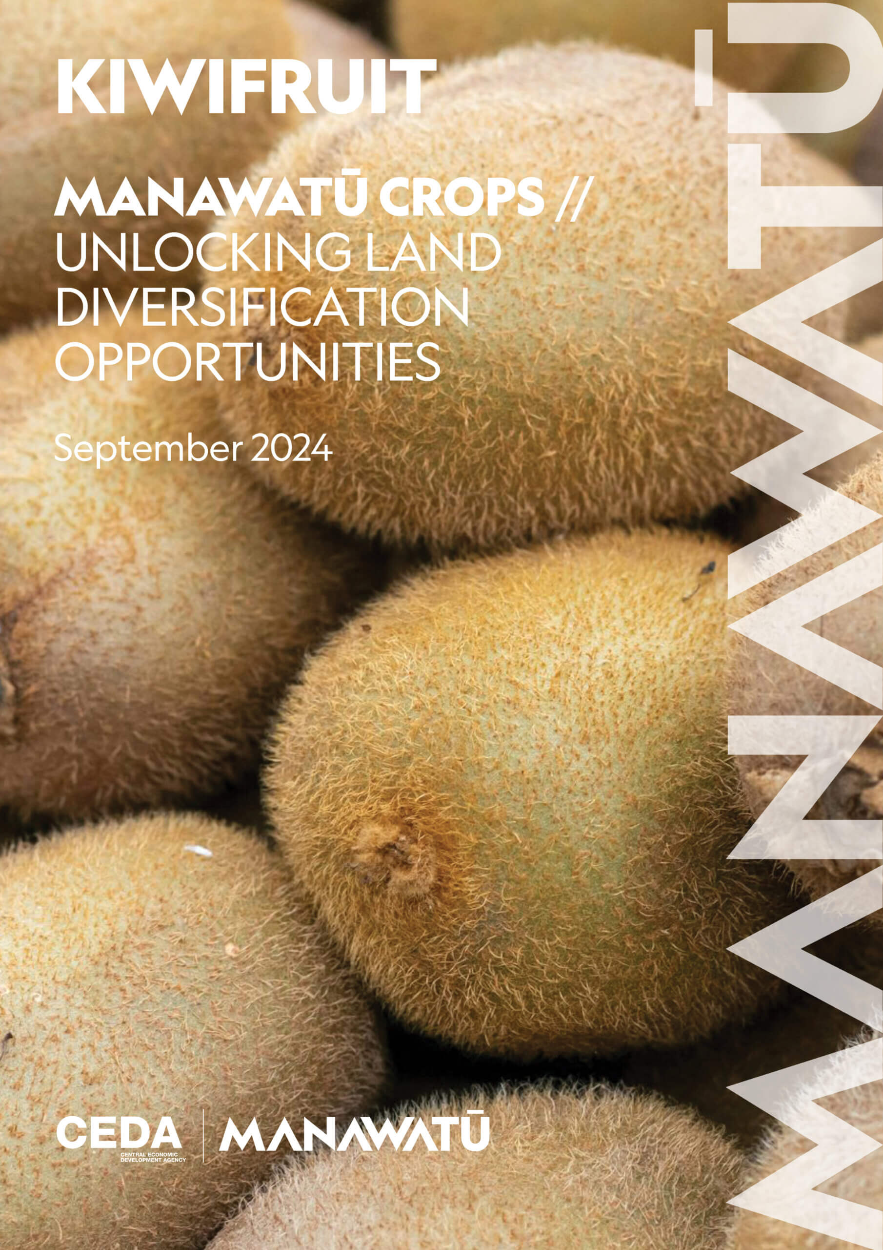 Kiwifruit Crop Information Document 2024