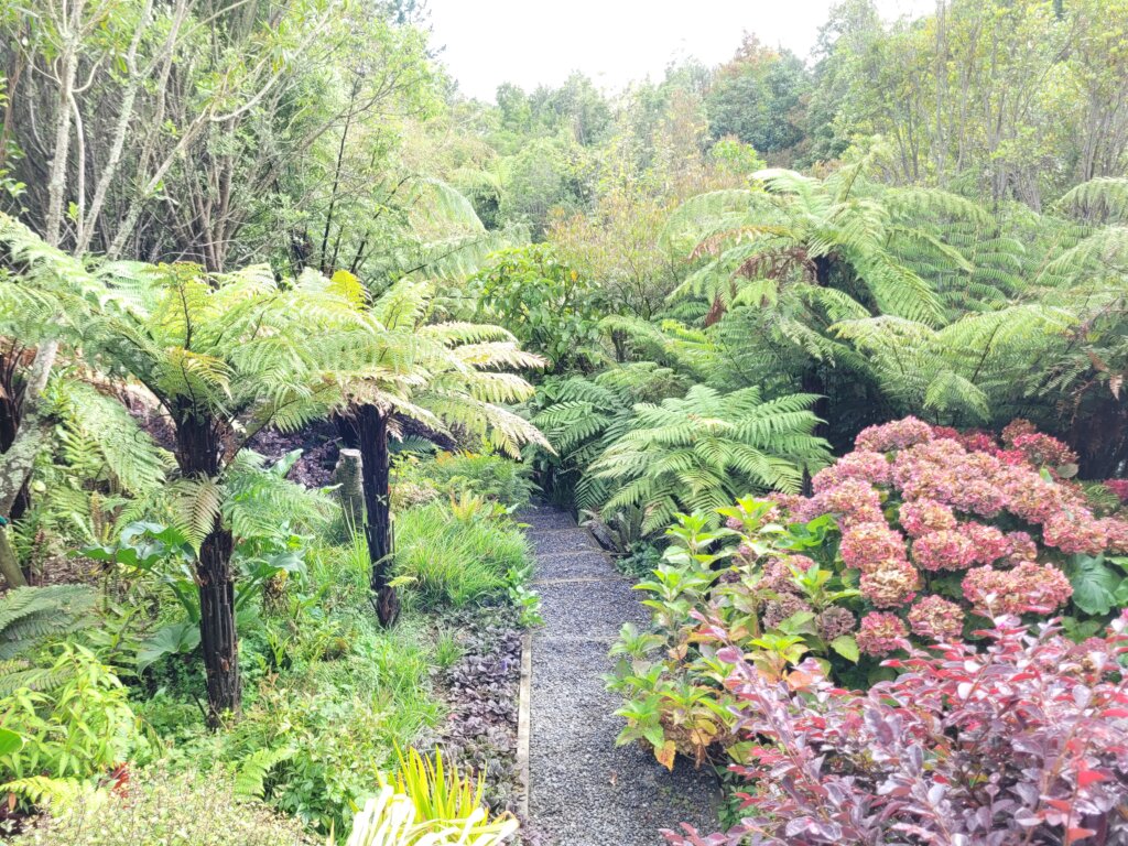Hlomo Hlomo Gardens, Manawatū