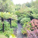 Thumbnail of http://Hlomo%20Hlomo%20Gardens,%20Manawatū