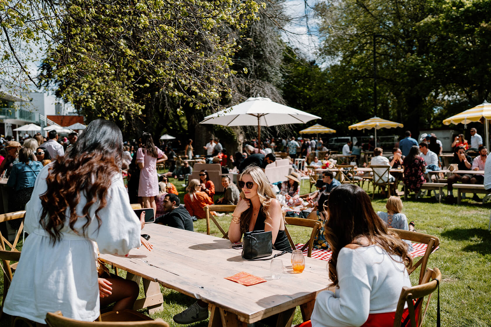 Salud Festival Palmerston North