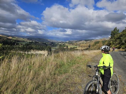 Tussock to Dune