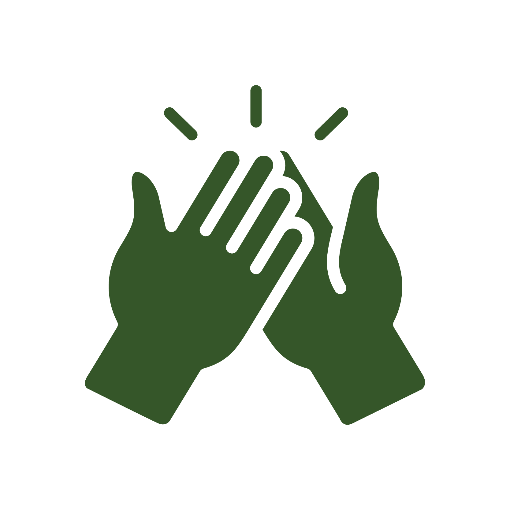 Hi Five Invest Pounamu